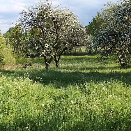 Słoneczny siedlisko *